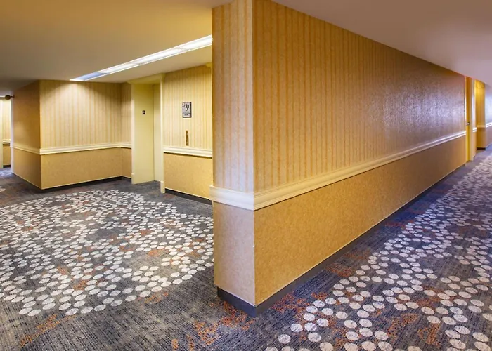 Hilton Chicago/northbrook 4*